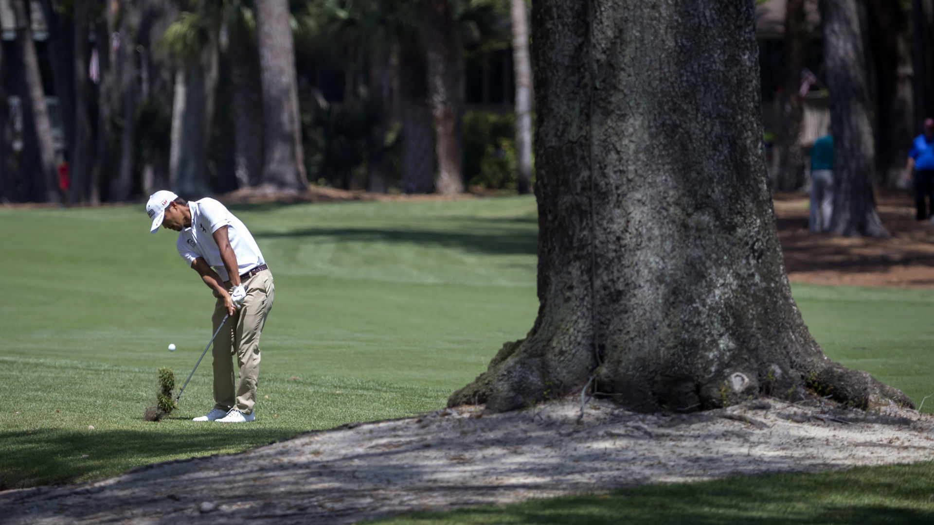 RBC Heritage Golf